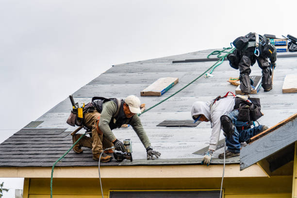 Professional Gutter Installation technician working in Bridgeport, NE